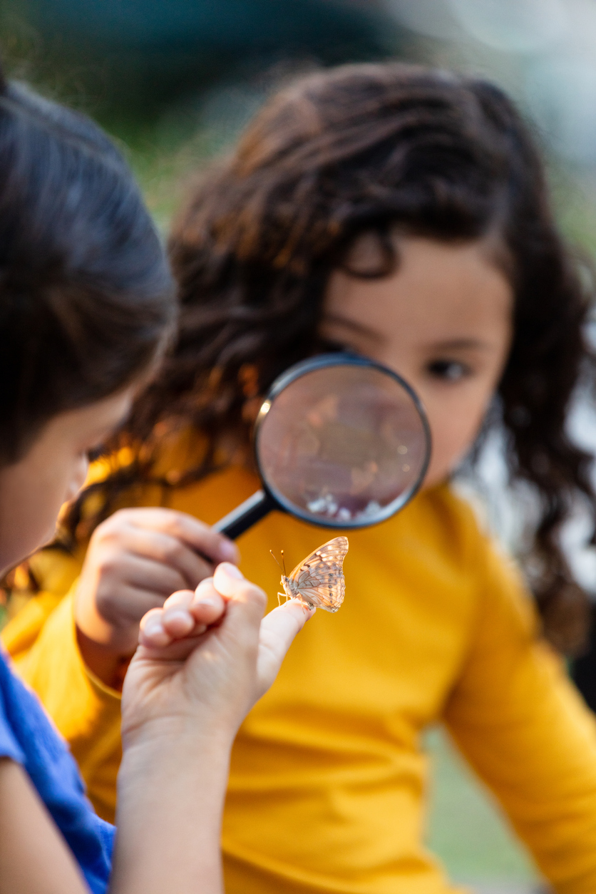 Two young girls looking at a butterfly with a magnifying glass.